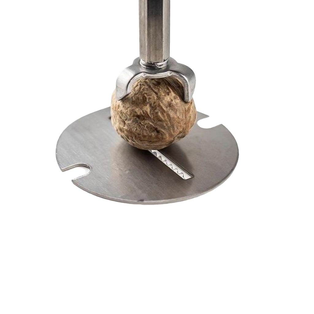 Peugeot-Daman Muscat Mühle 15 cm – Edelstahl und Acryl
