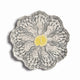 &Klevering - Assiette d'huîtres
